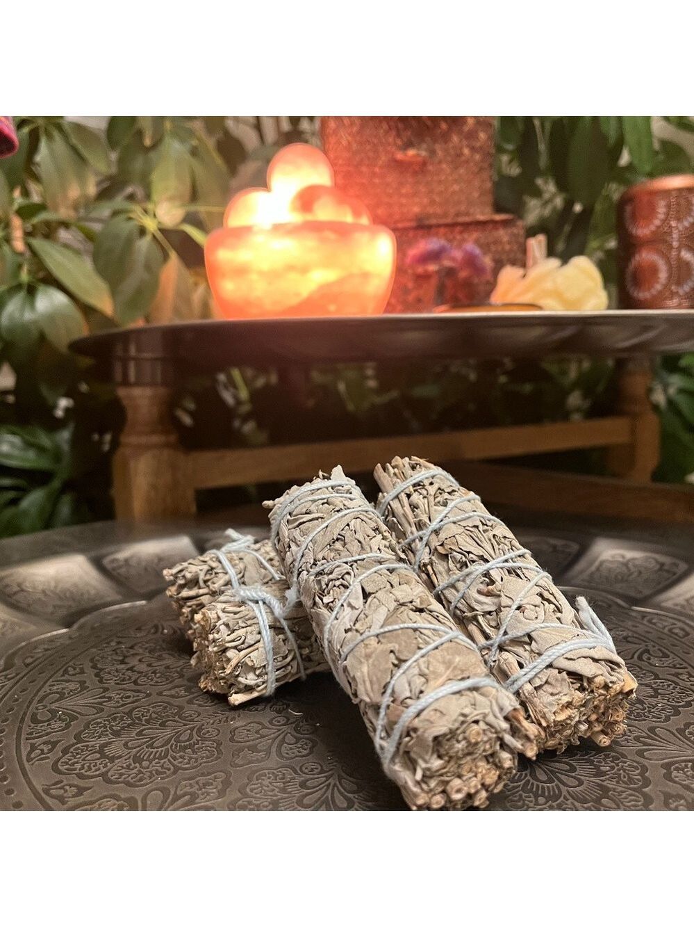 Stick Sage (ONE) - Picture 7 of 7